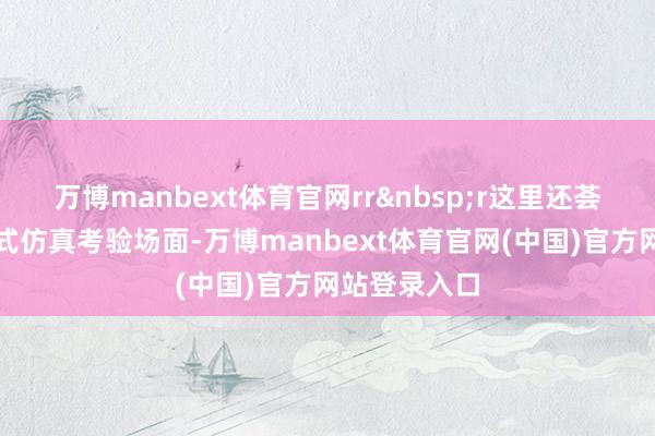 万博manbext体育官网rr&nbsp;r这里还荟萃搭建了各式仿真考验场面-万博manbext体育官网(中国)官方网站登录入口