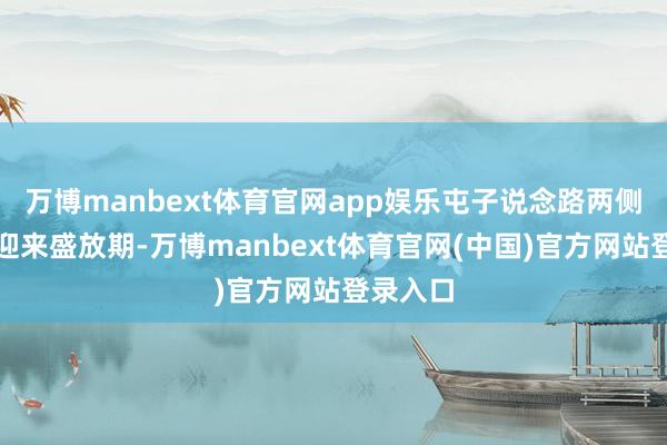 万博manbext体育官网app娱乐屯子说念路两侧的花也迎来盛放期-万博manbext体育官网(中国)官方网站登录入口