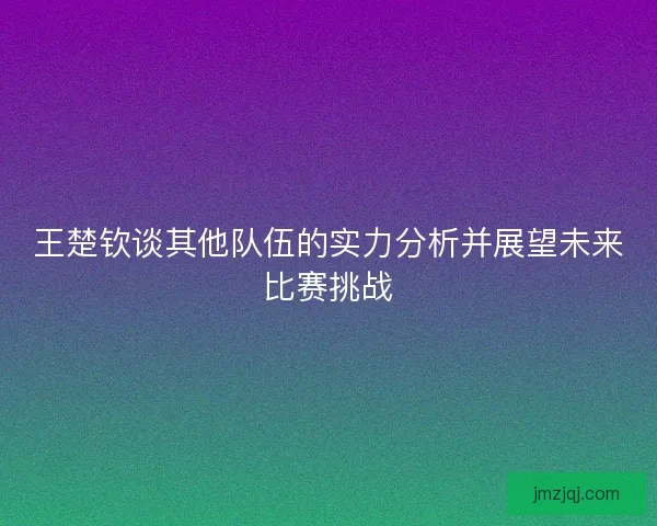 王楚钦谈其他队伍的实力分析并展望未来比赛挑战